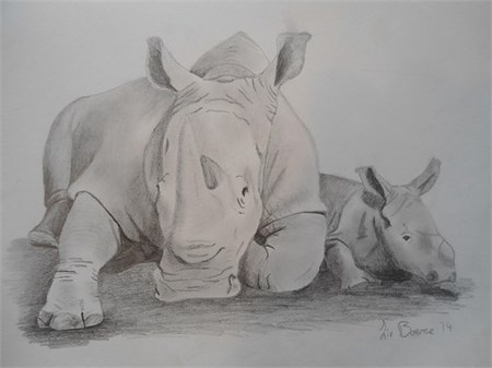 Rinocerontes de Liv Boeree.