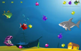 peces