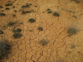pajakas14 alivia la sequía española en los MTT de las .com