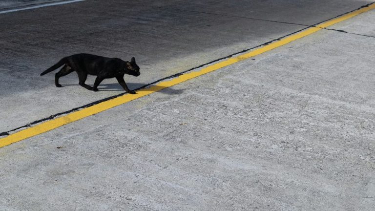 Pequeños rituales cotidianos, las supersticiones modernas que siguen vivas
